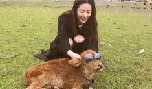 小牛新款爆料视频,科技与时尚的完美融合